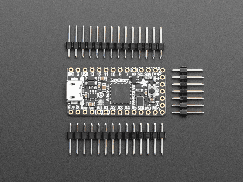 Adafruit ItsyBitsy M4 Express